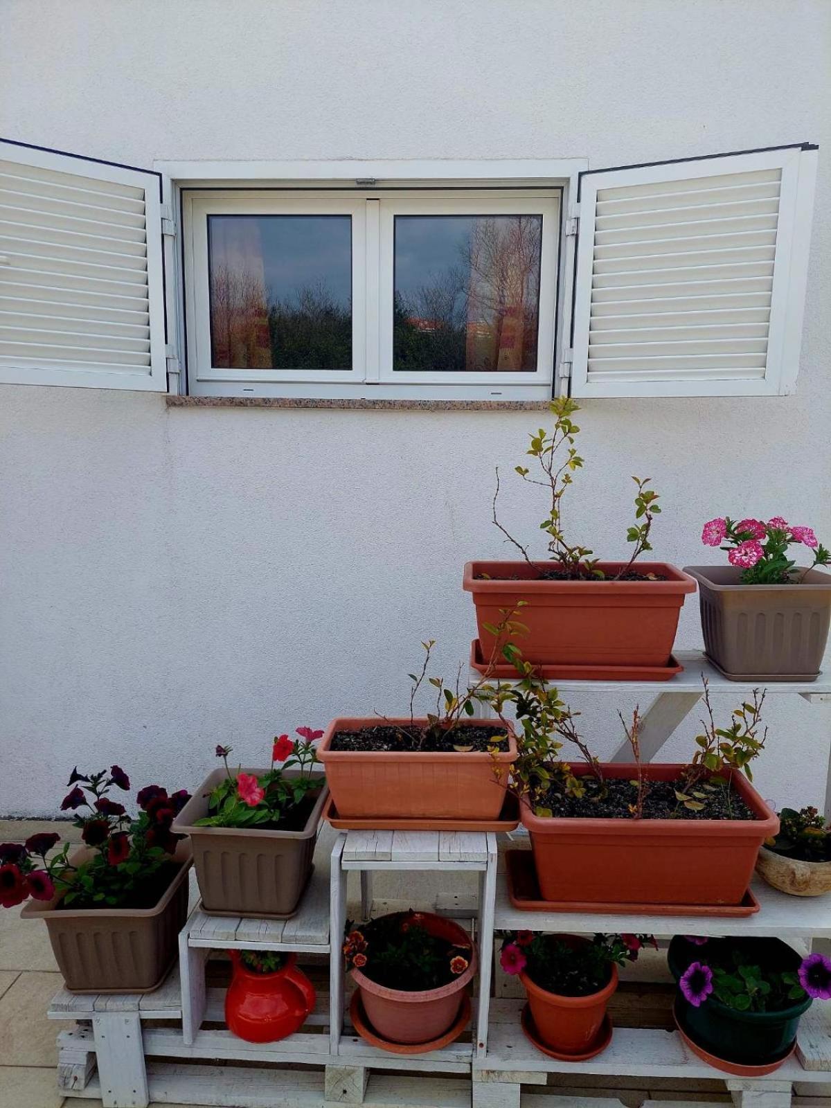 Rooms Hodanic Krk Town Δωμάτιο φωτογραφία