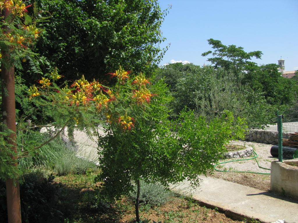 Rooms Hodanic Krk Town Εξωτερικό φωτογραφία